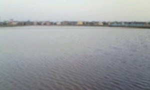 20090429181155.jpg