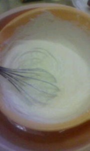 20090811070226.jpg