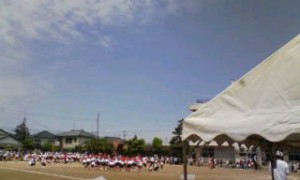 20100530104106.jpg