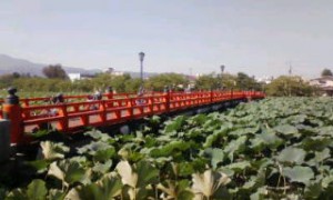 20110925101119.jpg