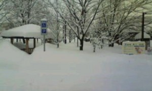 20120219111211.jpg